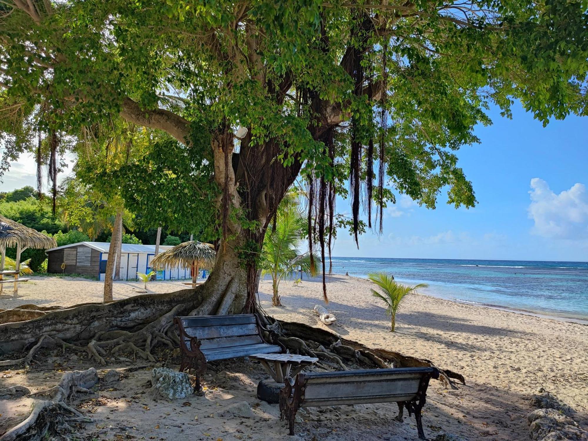 Studio Kawane Anse Des Rochers 303 Rdc, Cote Mer Saint-Francois  Dış mekan fotoğraf